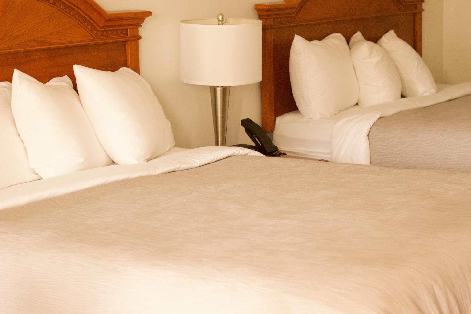 Quality Inn Near Chattanooga South Ringgold Eksteriør billede